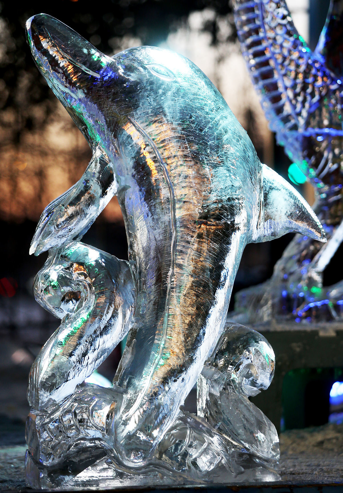 011318-Icestravaganza-014